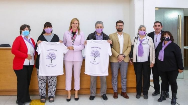 Asociación Civil de Lucha por la Fibromialgia fueron recibidos por diputados