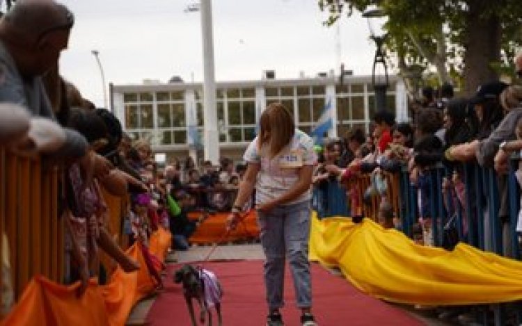 Color y alegría en el desfile de mascotas en Santa Lucía