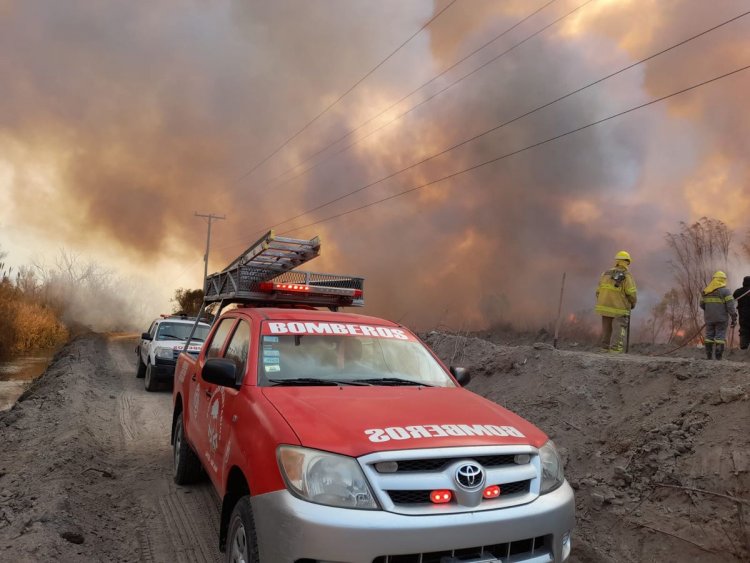 De 30 a 40 hectáreas fueron afectadas por el incendio en Parque Sarmiento