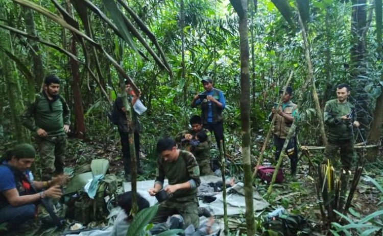 Milagro: encontraron a los cuatro niños perdidos en la selva