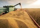 El Gobierno oficializó el esquema de reducción gradual de las retenciones para el agro