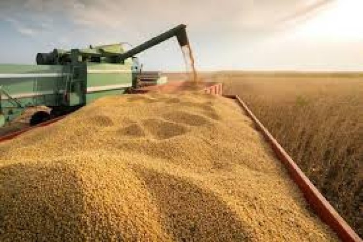 El Gobierno oficializó el esquema de reducción gradual de las retenciones para el agro