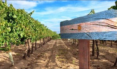 Exportaciones argentinas paralizadas por Rusia: el impacto de la invasión en los mercados de peras, manzanas, cítricos, pescados y otros productos