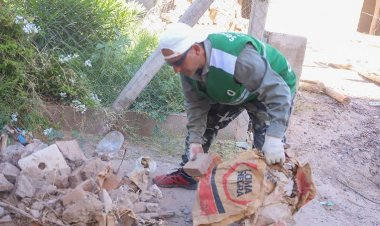 Esta es la planificación semanal de limpieza en Capital