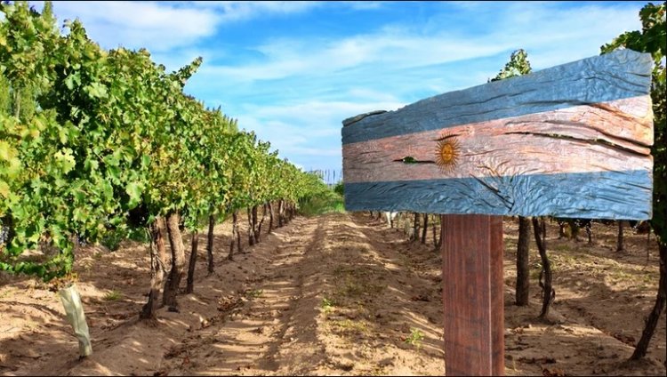 Exportaciones argentinas paralizadas por Rusia: el impacto de la invasión en los mercados de peras, manzanas, cítricos, pescados y otros productos