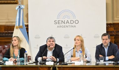 El oficialismo presentó en el Senado un proyecto para regularizar deudas previsionales