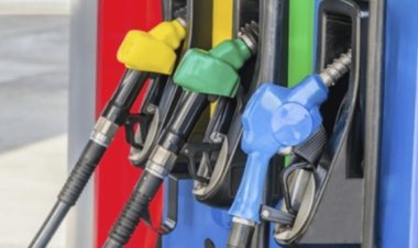 Gasoil: el Gobierno garantizó el funcionamiento normal del transporte público