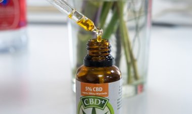 La Corte Suprema avaló el control estatal para autocultivo de cannabis para uso medicinal