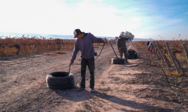 Brindarán charlas y capacitaciones en sistemas de riego por goteo