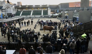 La 134ª Exposición Rural de Palermo volvió después de dos años de ausencia
