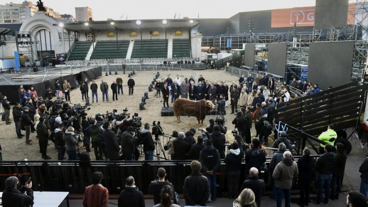 La 134ª Exposición Rural de Palermo volvió después de dos años de ausencia