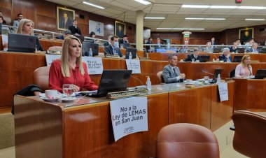 Sesión en Diputados  con carteles de protesta