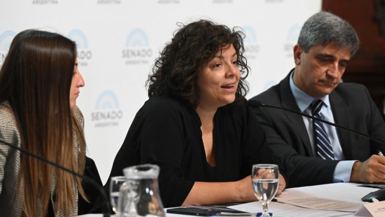 Senado: buscan convertir en ley el programa Remediar