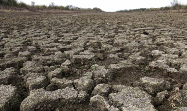 El cambio climático causó las sequías del verano en el hemisferio norte