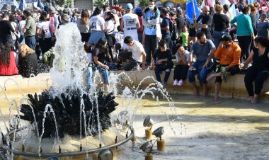 Actos y marchas en todo el país por el Día de la Lealtad