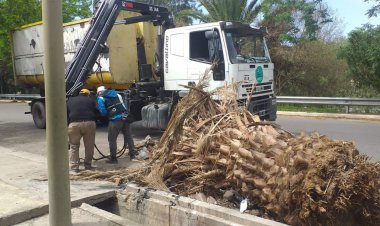 24 camionadas de mugre retiraron en Concepción