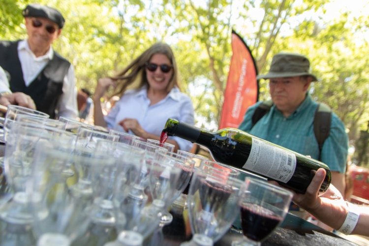 Por el turismo de eventos, el promedio de reservas hoteleras en el Gran San Juan llega al 83%