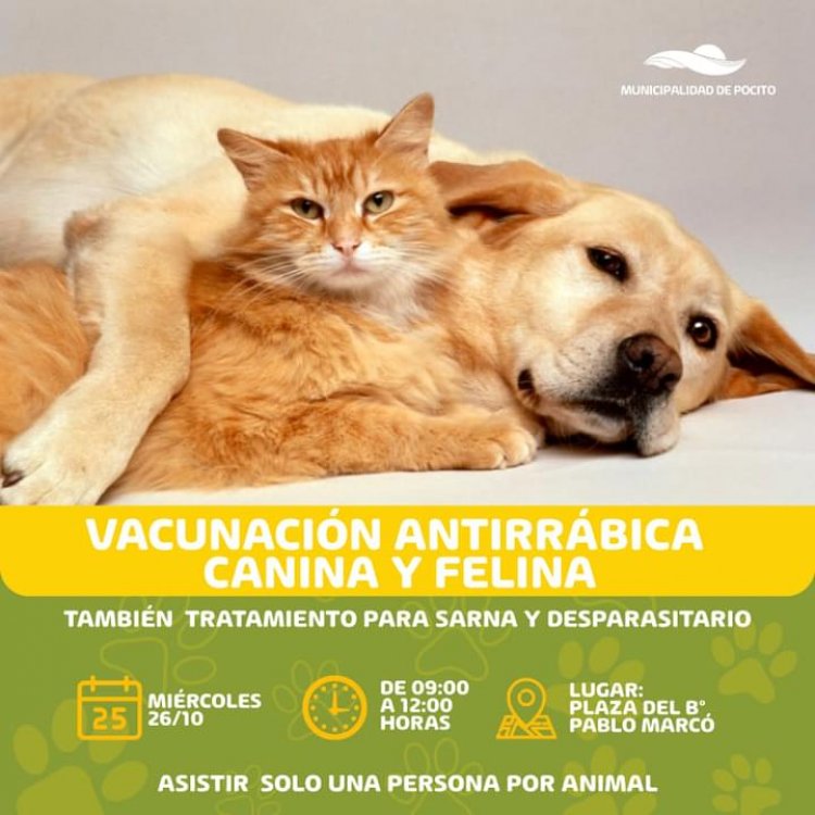 Pocito sigue vacunando tu mascota