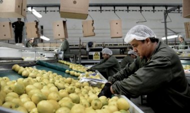 Los consumidores pagan cuatro veces más que su origen