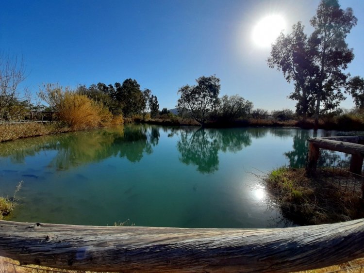El Parque de la Biodiversidad fue declarado área protegida