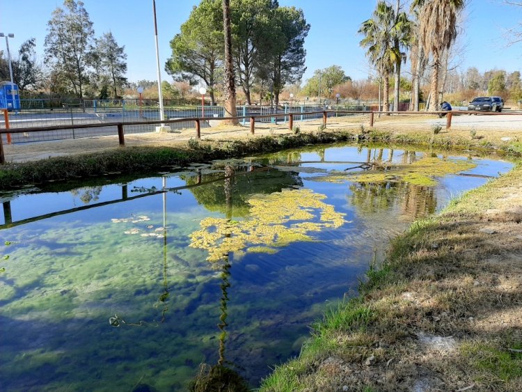 Visitas nocturnas al Parque de la Biodiversidad