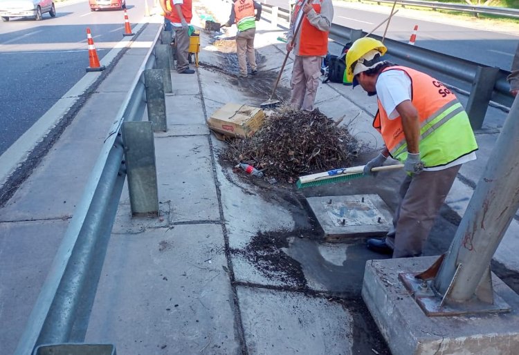 Capital retomó la limpieza general en avenida de Circunvalación