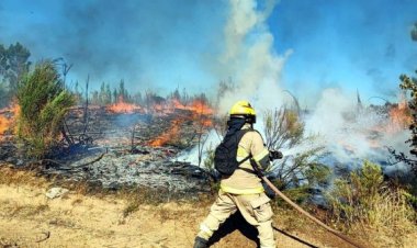 Chile bajo una ola de incendios forestales