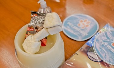 Primera feria provincial de adopción responsable de mascotas