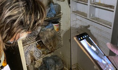 Casa del terror:  animales  encontrados en estado de abandono en  Santa Lucía