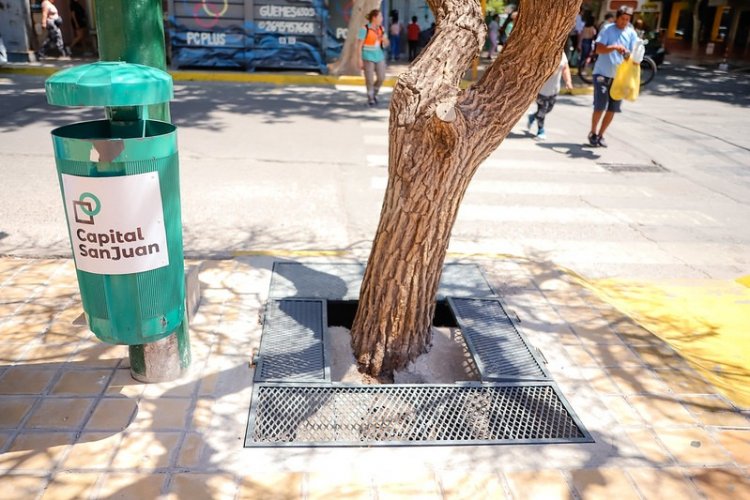 Avanza el programa de reparación de veredas del microcentro