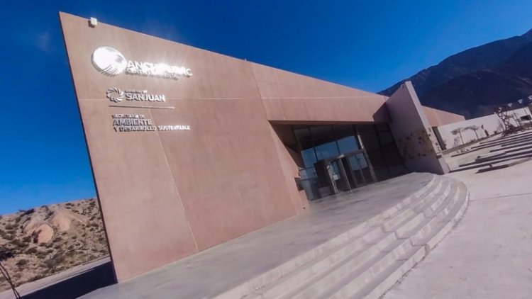 Un árbol por cada recién nacido, la propuesta de Anchipurac