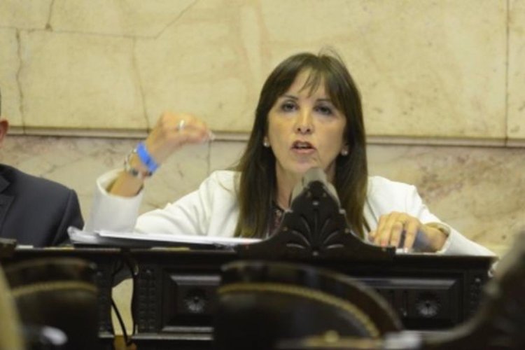 Laciar en el Congreso: “Los argentinos merecen una verdadera política de seguridad"