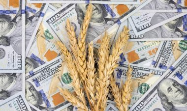 Apoyo de gobernadores al dólar agro de Massa