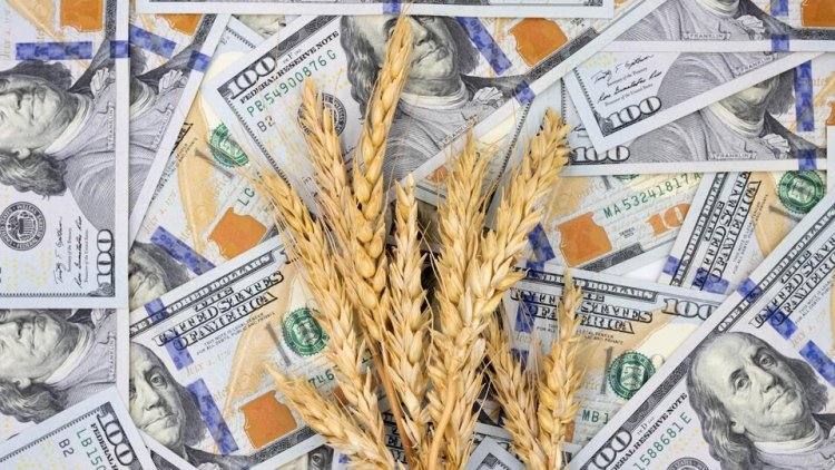 Apoyo de gobernadores al dólar agro de Massa