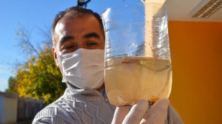 Salud refuerza las medidas preventivas contra el dengue