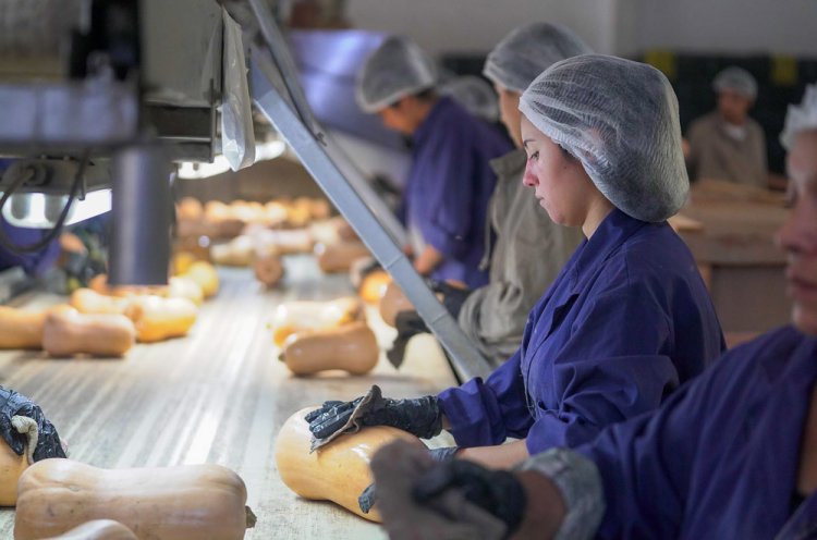 Créditos atractivos para la producción de alimentos orgánicos