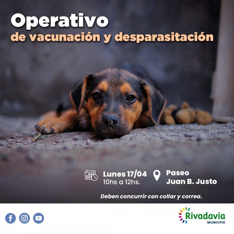 Operativo de vacunación de mascotas en Rivadavia