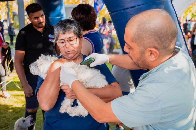 Santa Lucía el primer municipio que chipea sus mascotas