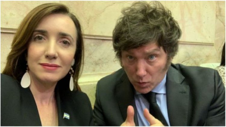 La vice de Milei a favor de la tenencia de armas