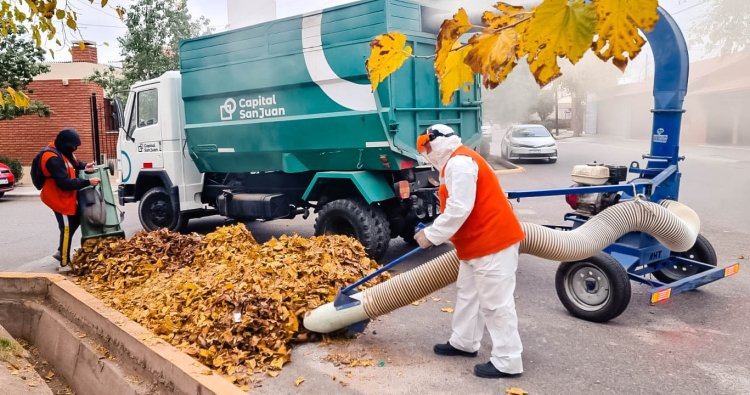 Oso hormiguero: "la máquina que se suma a los operativos de limpieza de Capital"