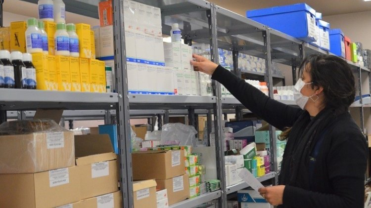 El mal uso y el abuso de antibióticos disminuye el efecto