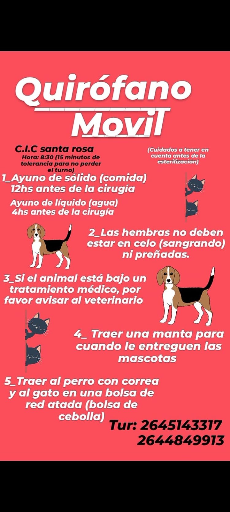 Llega a 25 de Mayo el trailer de Esterilización de mascotas