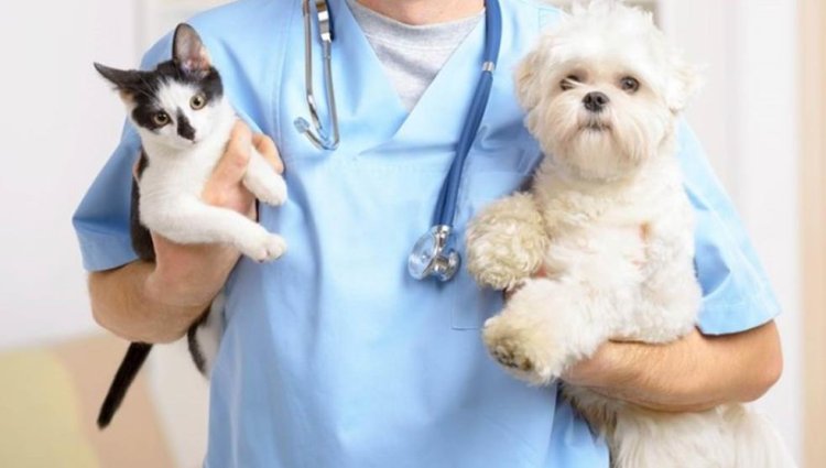 Llega a 25 de Mayo el trailer de Esterilización de mascotas
