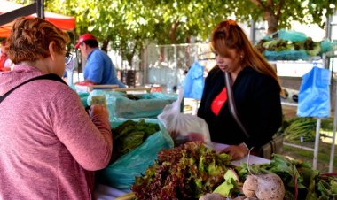 Más de 100 feriantes serán parte de una nueva edición de la Feria Agroproductiva