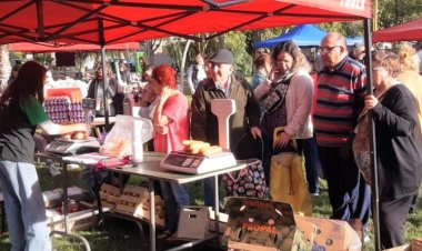 El Camión de Frutas y Verduras visitará Albardón