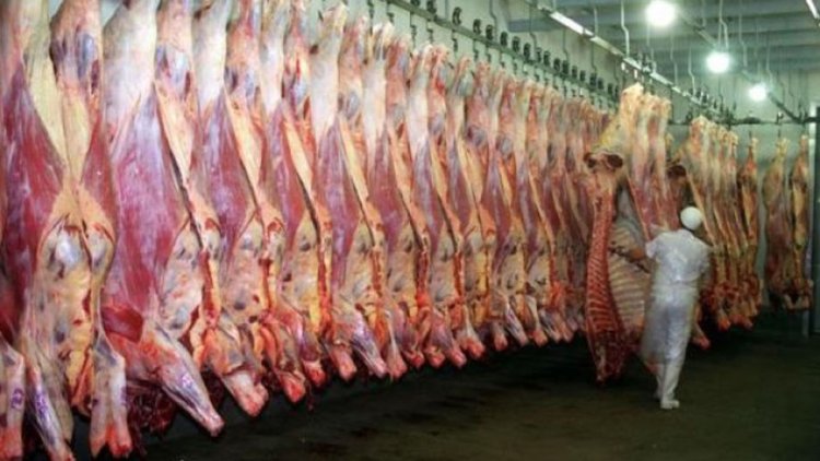 El Gobierno suspendió las exportaciones de carne