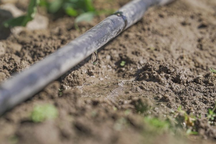 San Juan entregó 91 % de los créditos solicitados