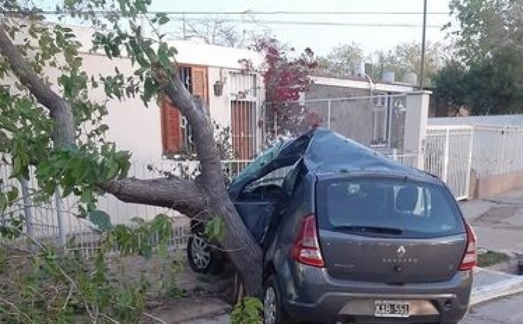 Joven de 37 años murió tras incrustarse en un árbol