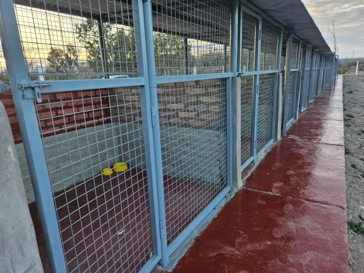 Primer Hogar de Tránsito y Adopción de Mascotas de la provincia
