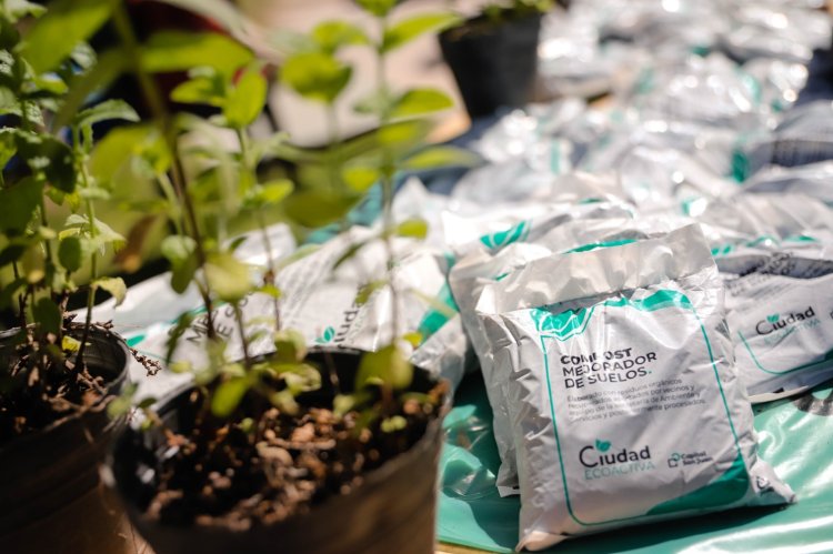 Ecocanje y vacunación antirrábica en Capital por el "Día Nacional de la Conciencia Ambiental"